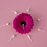 top-view-spermatozoa-pink-flower